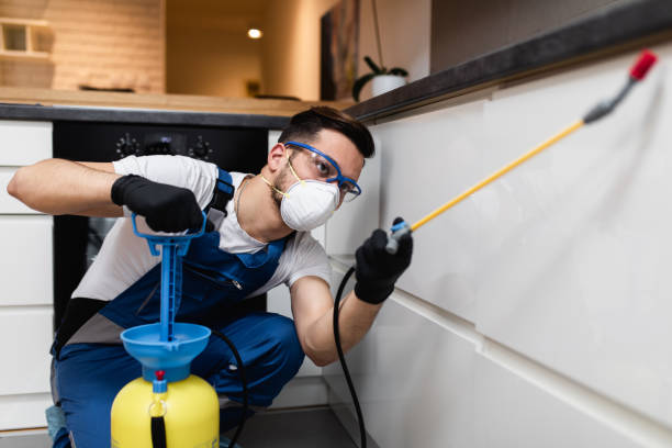 Best Pest Inspection Near Me  in Wasilla, AK