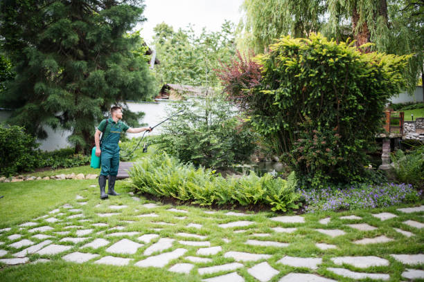 Best Emergency Pest Control  in Wasilla, AK
