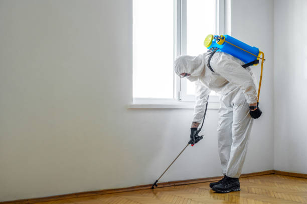 Best Affordable Pest Control Services  in Wasilla, AK