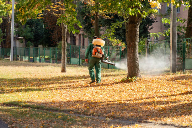 Best Insect Control  in Wasilla, AK